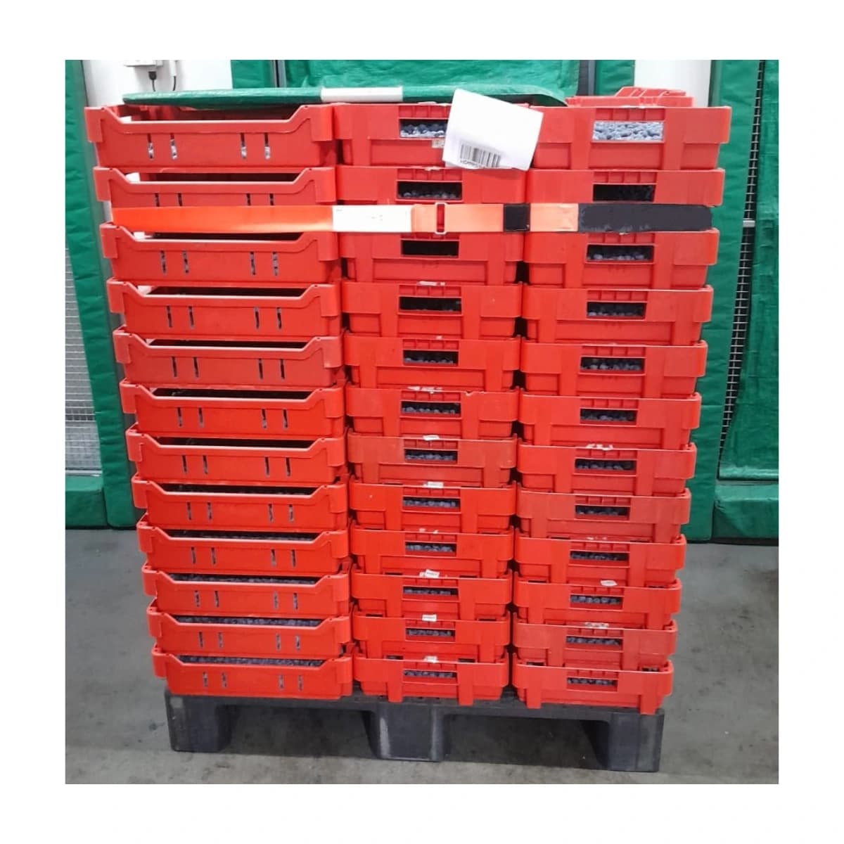 Heavy Duty Plastic Pallet – 1160 x 1160mm (Australian Standard) view 3