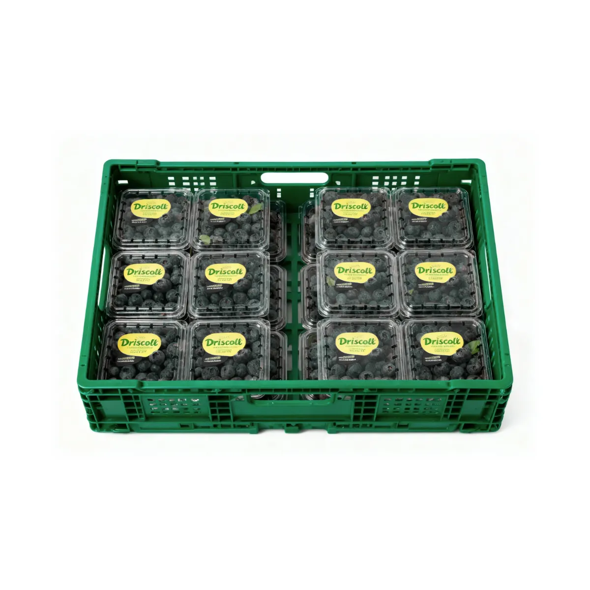 22L Food Grade Folding Crate (Vented) view 3