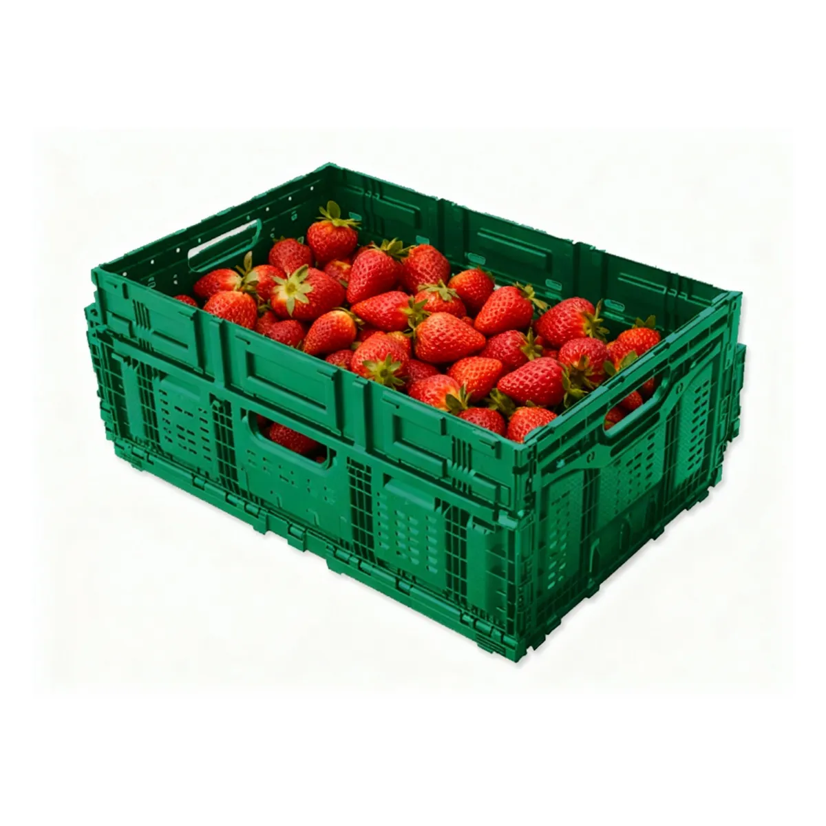 48L Food Grade Folding Crate (Vented) view 3