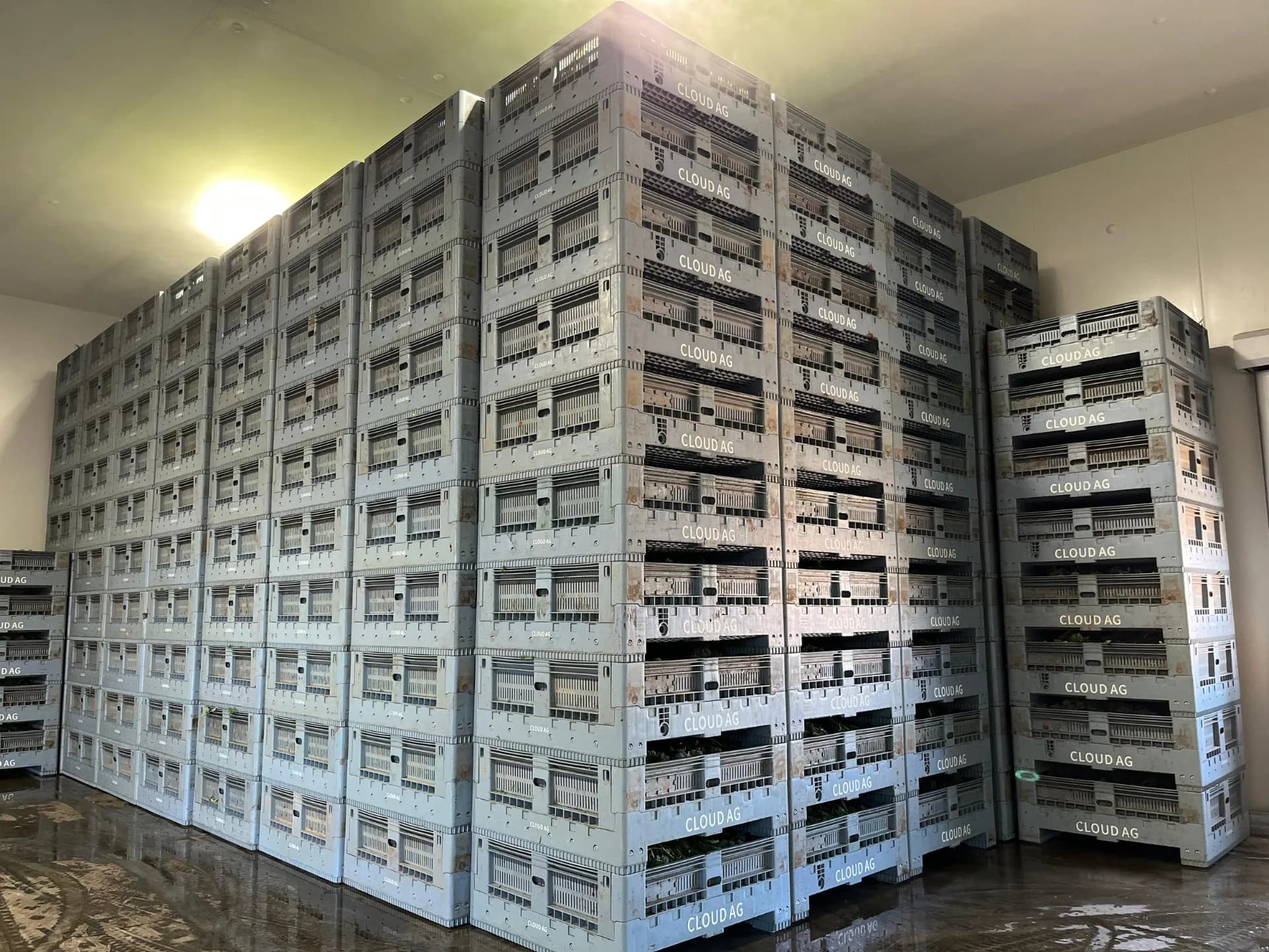 Eco Pallets Australia warehouse — plastic pallet and material handling specialists