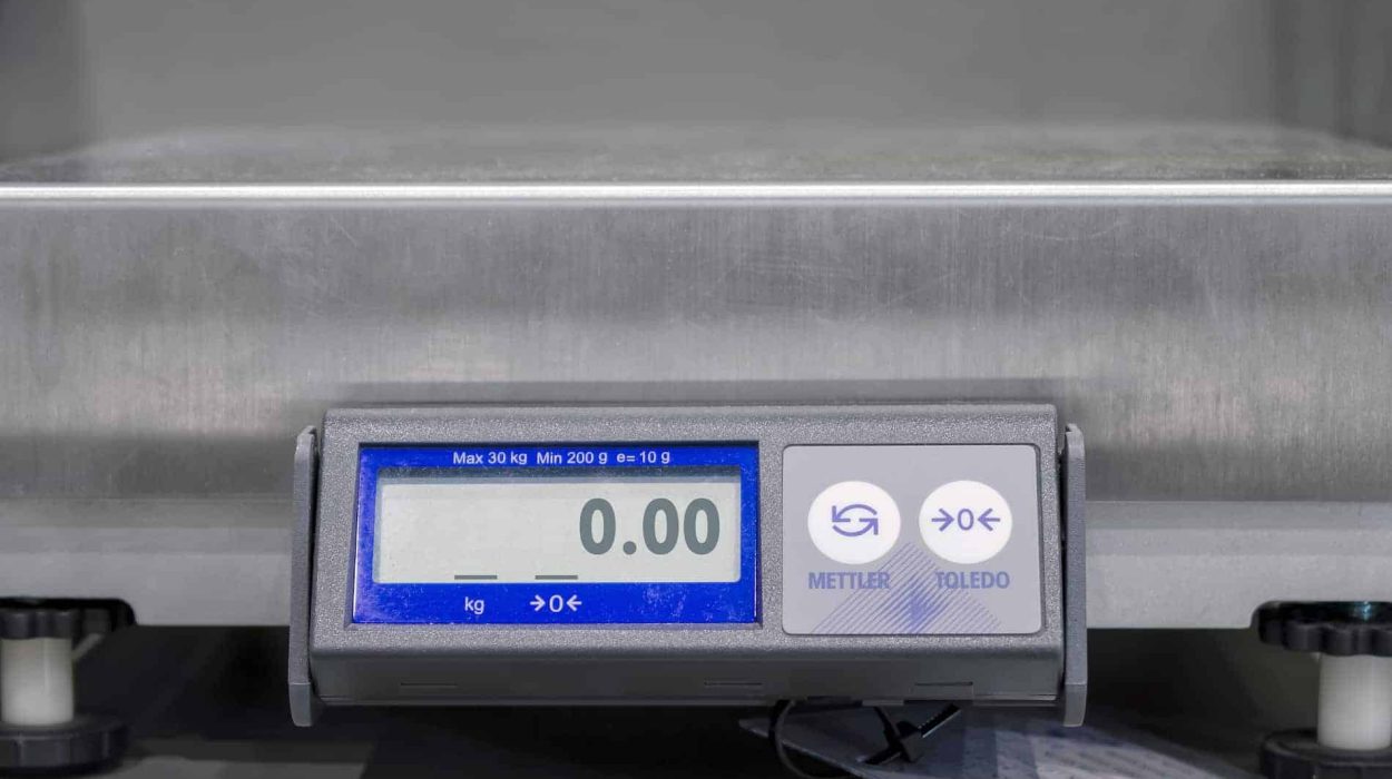 how much does a pallet weight in kg? digital scale