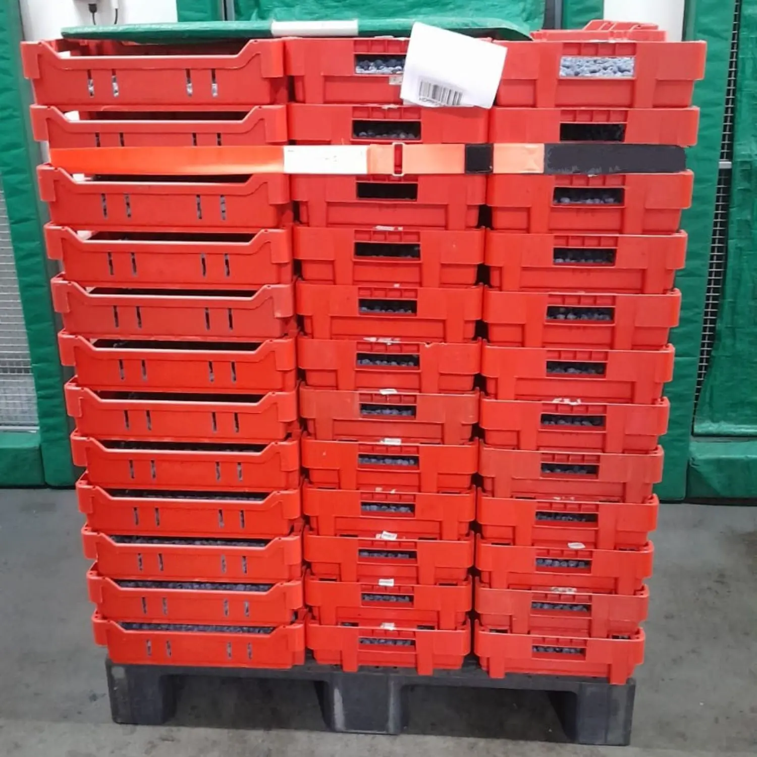 ECO-1160L
