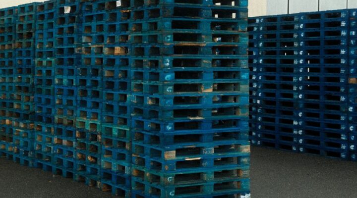 Redefining Seafood Storage with Durable Plastic Prawn Crates
